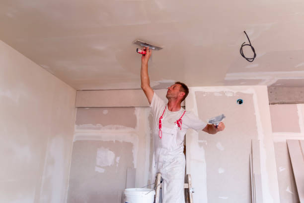 Best Ceiling Drywall Installation  in Palmyra, NJ